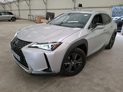 Lexus UX UX 250h 2WD Luxe MY20