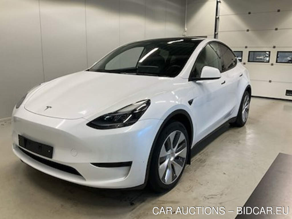 Tesla Model Y BEV RWD UA!,