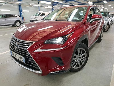 Lexus NX NX 300h 2WD Pack Business Euro6d-T