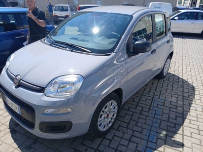 Fiat Panda 1.0 FireFly 70cv S&amp;S Hybrid, 2021