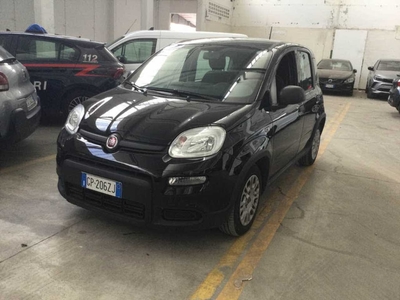 Fiat Panda 1.0 FireFly 70cv S&amp;S Hybrid, 2023