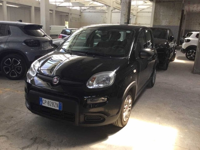 Fiat Panda 1.0 FireFly 70cv S&amp;S Hybrid, 2023