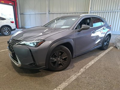 Lexus UX UX 250h 2WD Luxe MY19
