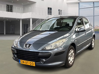 Peugeot 307 1.6-16V D.SIGN, 2008