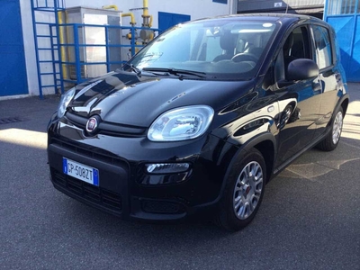 Fiat Panda 1.0 FireFly 70cv S&amp;S Hybrid, 2023