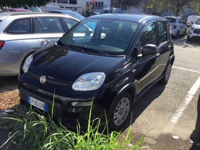 Fiat Panda 1.0 FireFly 70cv S&amp;S Hybrid, 2023