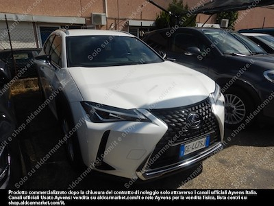 Lexus UX PC hybrid business FP -