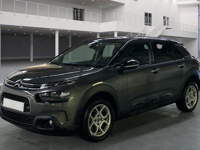 Citroen C4 CACTUS PURETECH 110 S&S BVM6 FEEL Feel, 2019