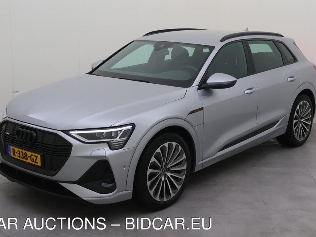 Audi E-tron 55 BEV 408PK 95KWH QUATTRO S ED PRO LINE S TOUR OPTIEK TREKHAAK, 2022