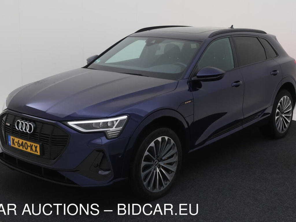 Audi E-tron 50 BEV 313PK QUATTRO S EDITION PRO LINE TOUR PANO, 2020