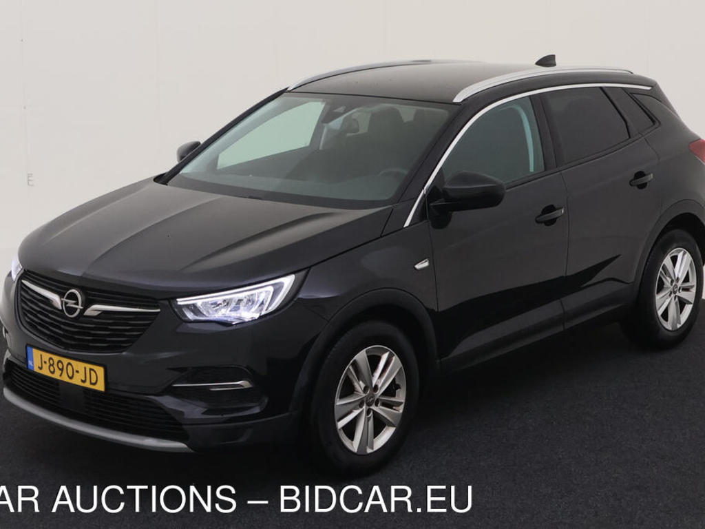 Opel Grandland x 1.2 TURBO 131PK BUSINESS EXECUTIVE STOELEN, 2020