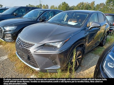 Lexus NX hybrid luxury 4wd sport -