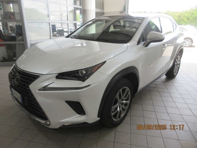 Lexus NX Hybrid Premium 4WD, 2020
