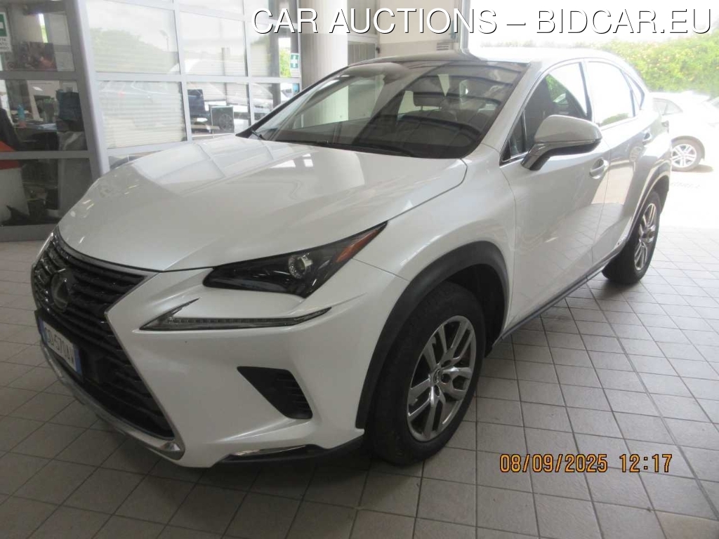 Lexus NX Hybrid Premium 4WD, 2020