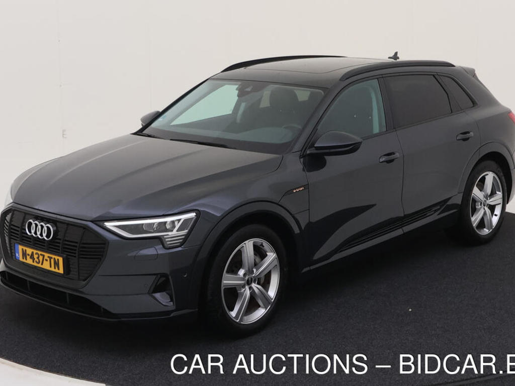 Audi E-tron 55 BEV 408PK 95KWH QUATTRO ADVANCED EDITION PLUS TOUR HAAK PANO, 2021