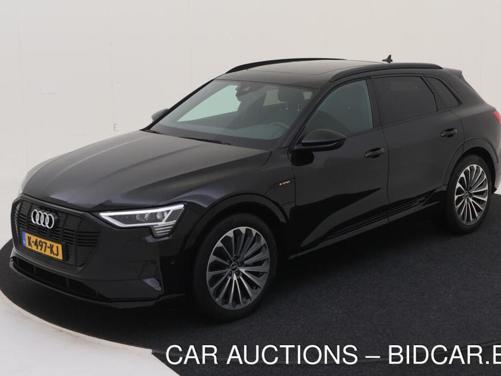 Audi E-tron 50 BEV 313PK QUATTRO LAUNCH EDITION PLUS TOUR, 2020