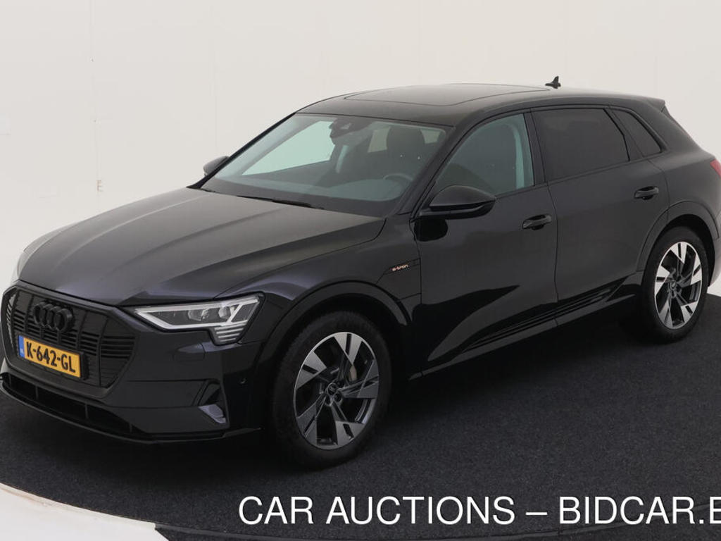 Audi E-tron 55 BEV 408PK QUATTRO BUSINESS EDITION PLUS TOUR LEER PANO, 2020