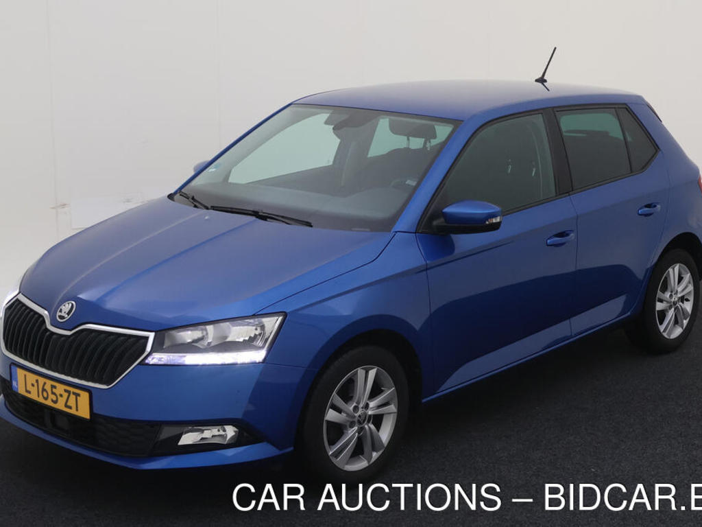 Skoda Fabia 1.0 TSI 95PK AMBITION TREKHAAK, 2021