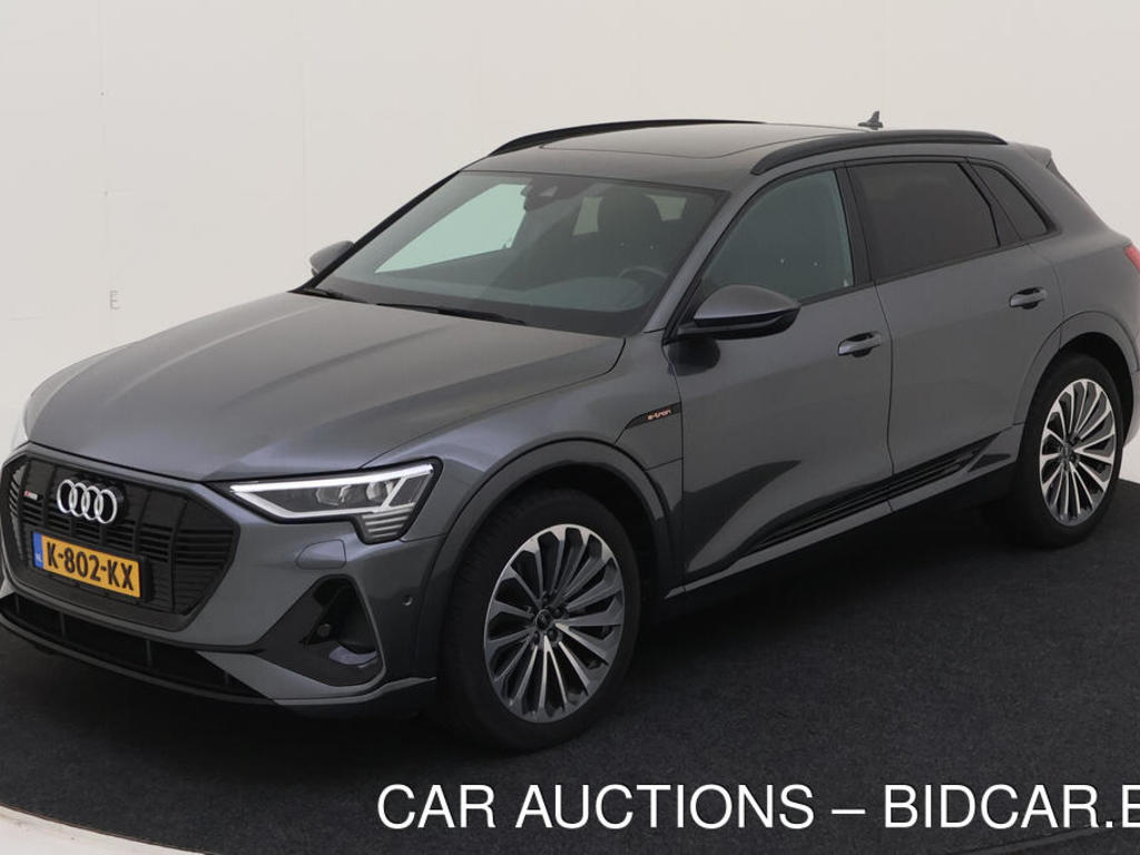Audi E-tron 50 BEV 313PK QUATTRO S EDITION CAMERA OPTIEK, 2020