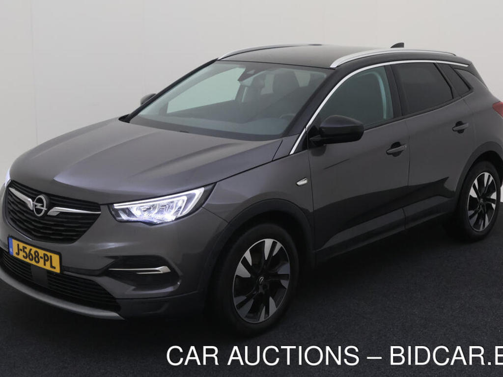 Opel Grandland x 1.2 TURBO 131PK BUSINESS EXECUTIVE CAMERA TREKHAAK, 2020