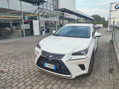 Lexus NX Hybrid Business 2WD, 2021