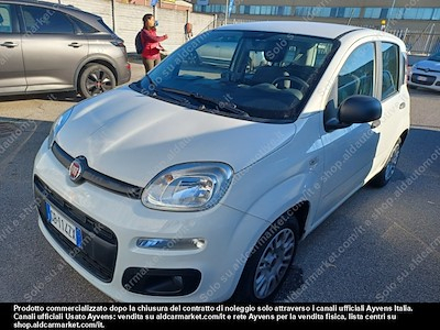 Fiat panda consip14 1.2 69 CV -
