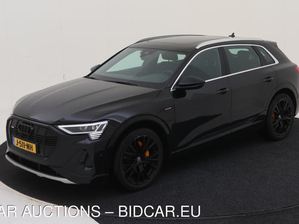 Audi E-tron 50 BEV 313PK QUATTRO S EDITION PRO LINE TOUR TREKHAAK, 2020