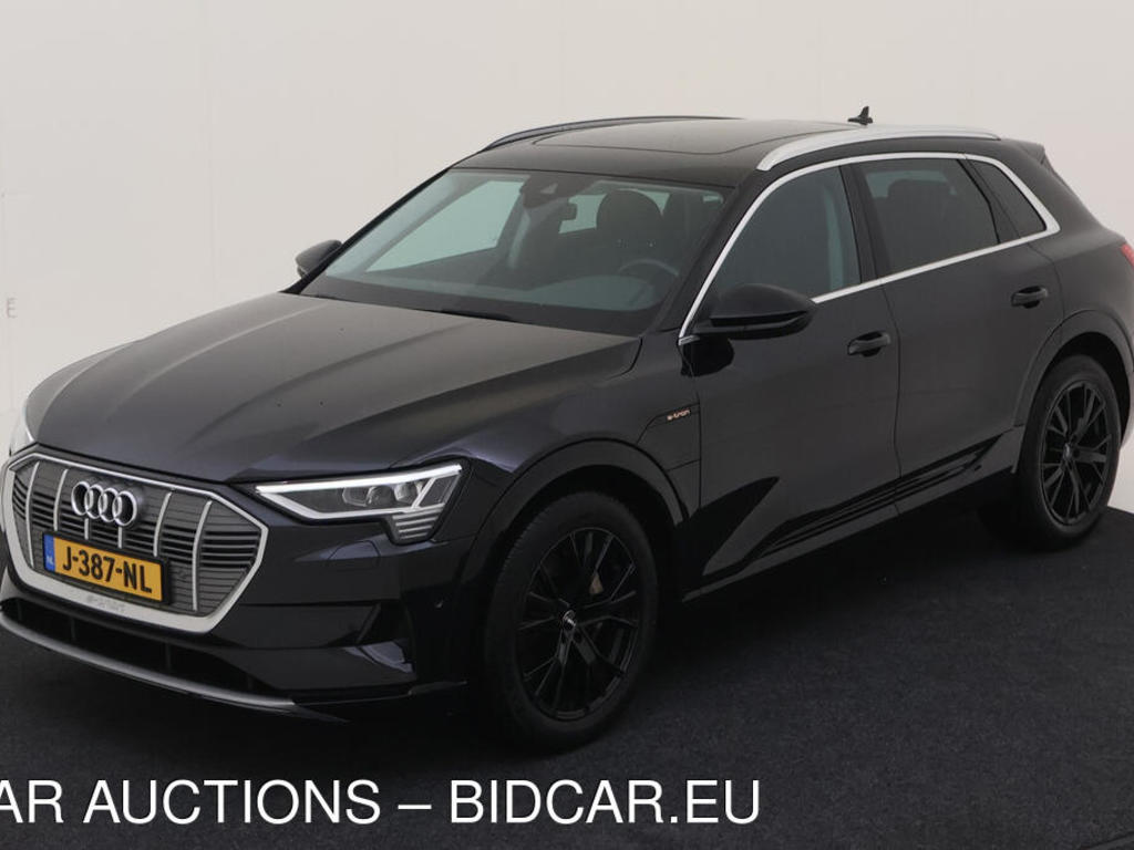 Audi E-tron 50 BEV 313PK QUATTRO LAUNCH EDITION PLUS PRO LINE TOUR HAAK, 2020