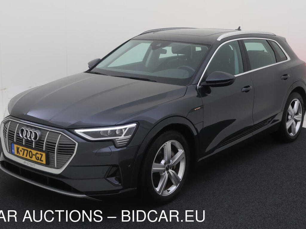 Audi E-tron 50 BEV 313PK QUATTRO BUSINESS EDITION PLUS TOUR TREKHAAK, 2020