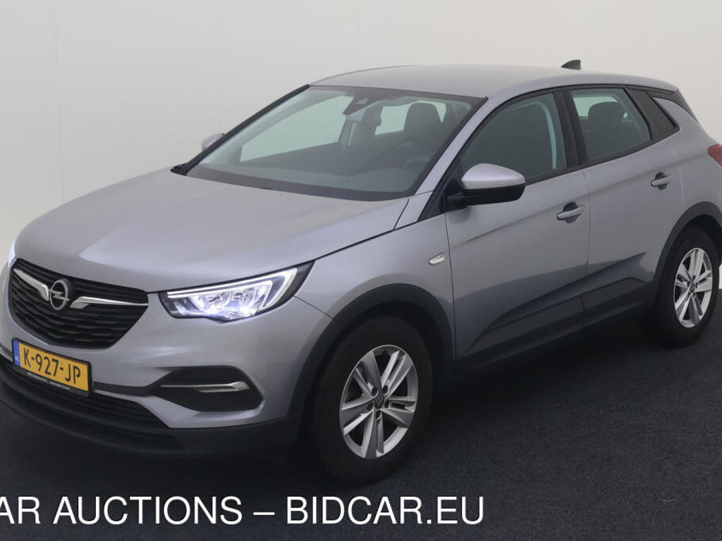 Opel Grandland x 1.2 131PK TURBO EDITION INTELLILINK STOELEN, 2021