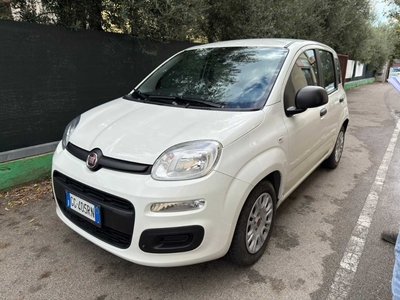 Fiat Panda 1.0 FireFly 70cv S&amp;S Hybrid, 2021