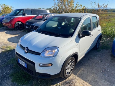Fiat Panda 1.0 FireFly 70cv S&S Hybrid, 2025