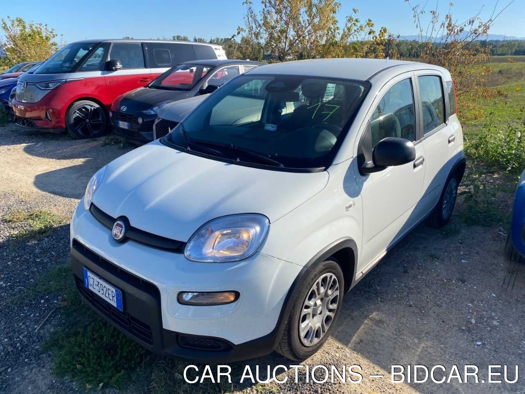 Fiat Panda 1.0 FireFly 70cv S&S Hybrid, 2025