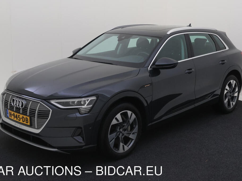 Audi E-tron 50 BEV 313PK 77KWH QUATTRO LAUNCH EDITION PLUS PANORAMA, 2019