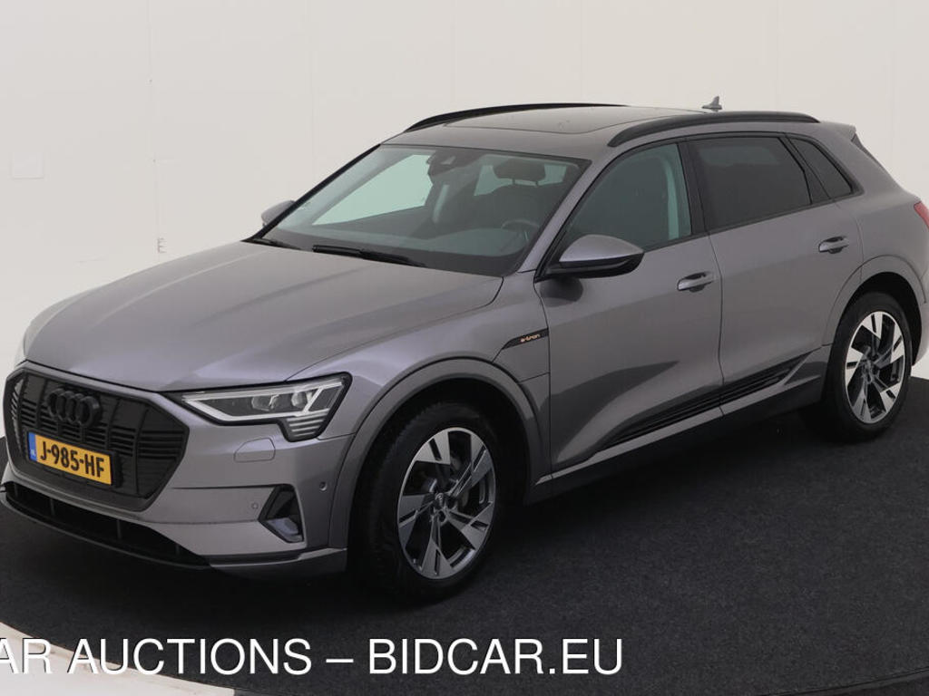 Audi E-tron 50 BEV 313PK QUATTRO LAUNCH EDITION PLUS TOUR PANO, 2020