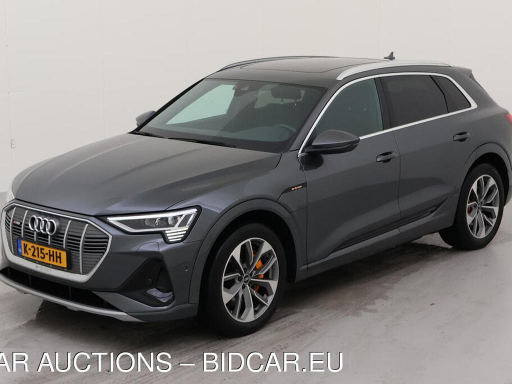 Audi E-tron 50 BEV 313PK QUATTRO S EDITION PRO LINE TOUR MATRIX LEER, 2020