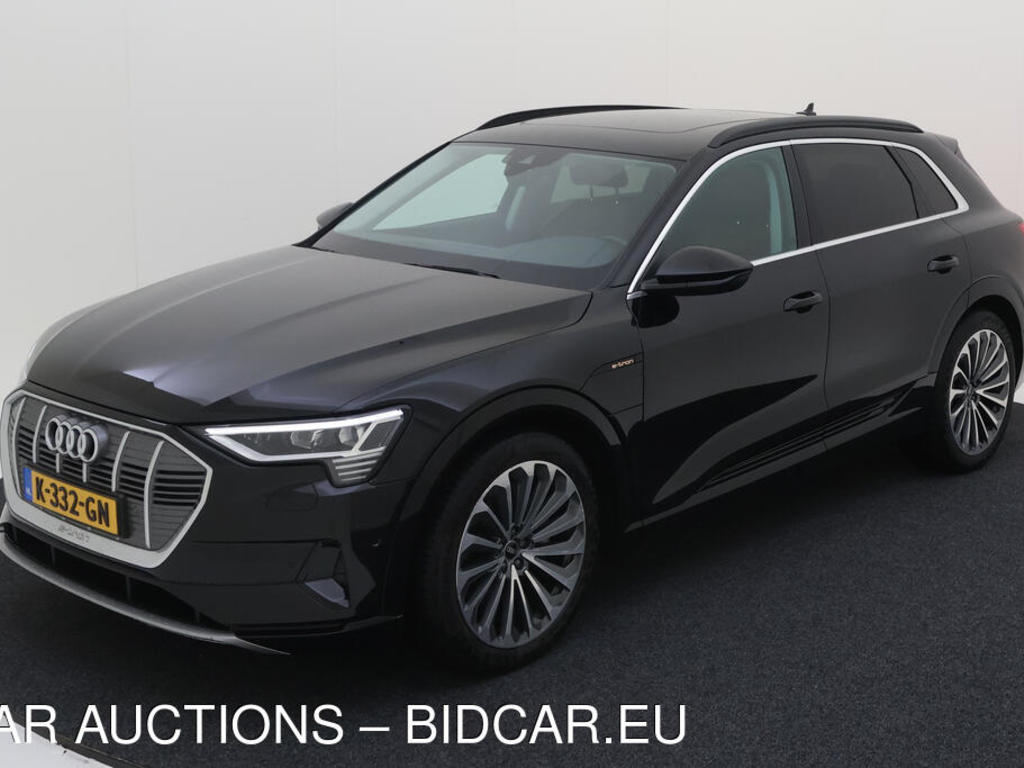 Audi E-tron 55 BEV 408PK QUATTRO BUSINESS EDITION PLUS TOUR PANO HAAK LEER, 2020