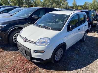 Fiat Panda 1.0 FireFly 70cv S&S Hybrid, 2025
