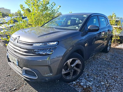 Citroen C5 aircross C5 Aircross BlueHDi 130ch S&amp;S Business EAT8