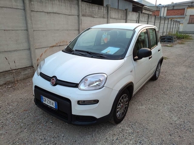 Fiat Panda 1.0 FireFly 70cv S&amp;S Hybrid, 2023