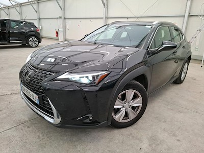Lexus UX UX 250h Pack Business 2WD
