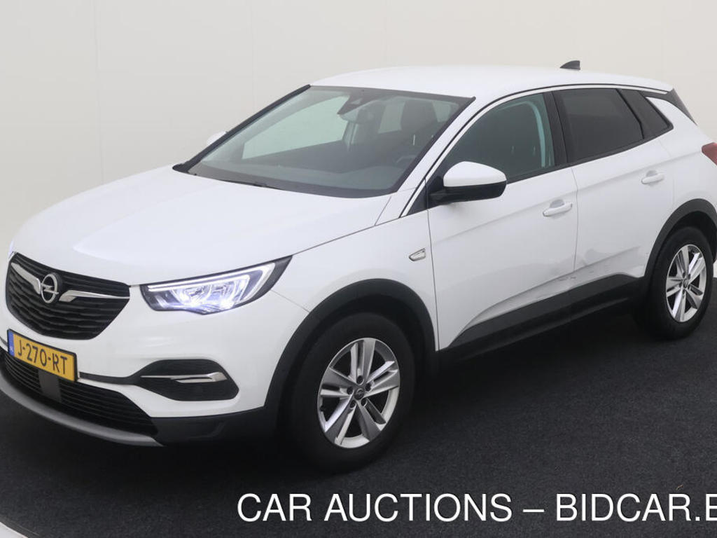 Opel Grandland x 1.2 TURBO 130PK AUTOMAAT BUSINESS EXECUTIVE, 2020
