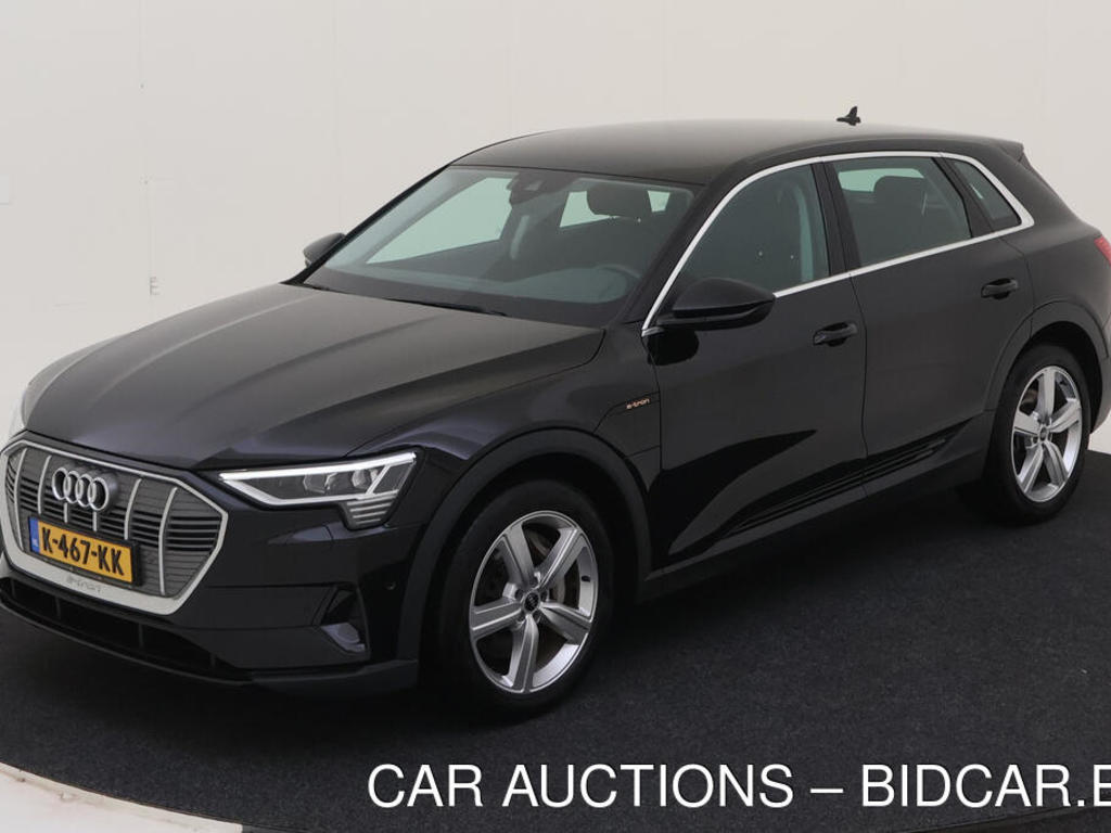 Audi E-tron 50 BEV 313PK QUATTRO EDITION TREKHAAK, 2020