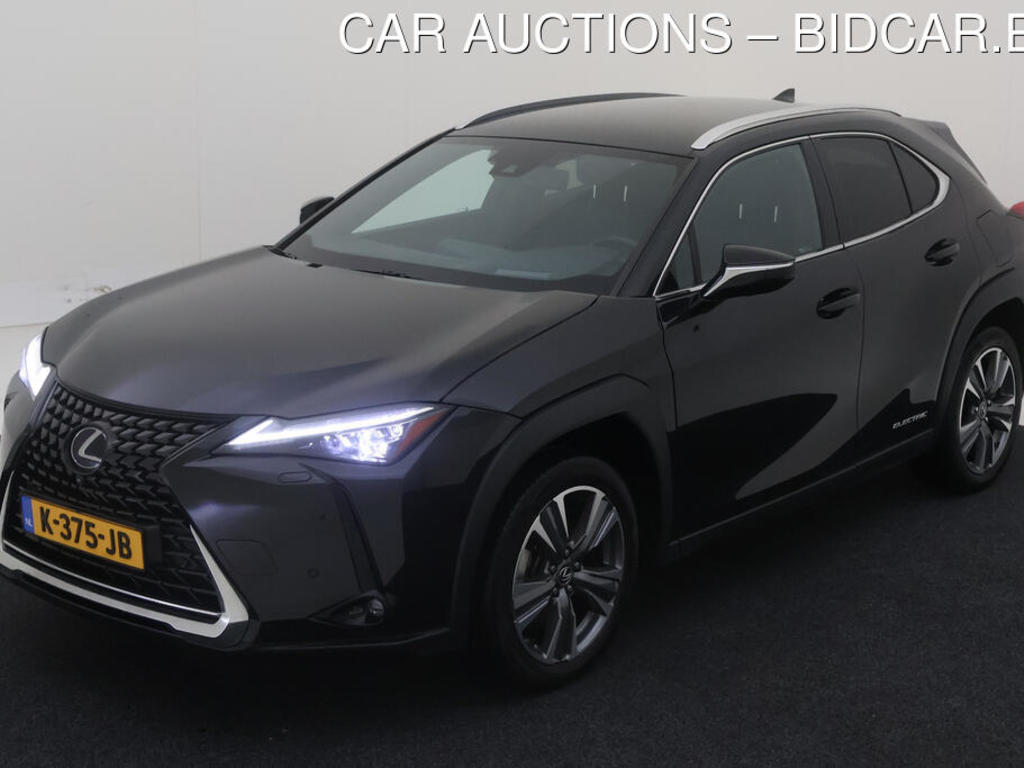 Lexus Ux 300E 204PK 54KWH EXECUTIVE, 2020