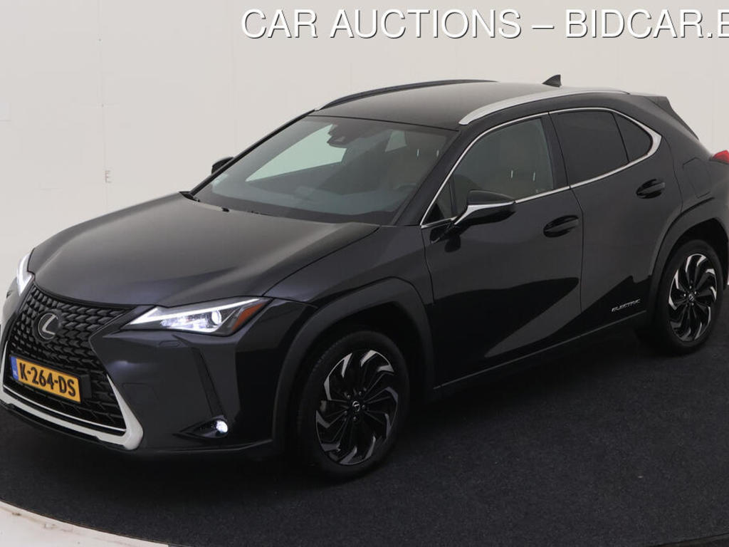 Lexus Ux 300E 204PK 54KWH BUSINESS PRO, 2020