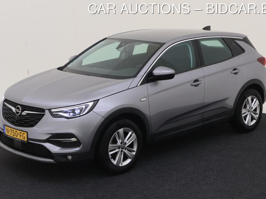 Opel Grandland x 1.2 TURBO 131PK BUSINESS ELEGANCE TREKHAAK, 2021