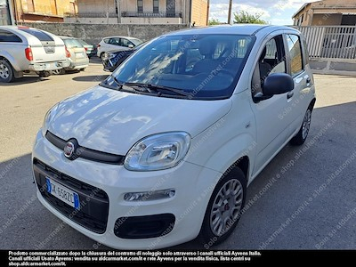 Fiat panda 1.0 firefly 70cv SS -