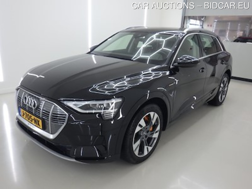 Audi E-tron 50 quattro launch edition plus