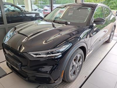 Ford Mustang MACH-E, 2021