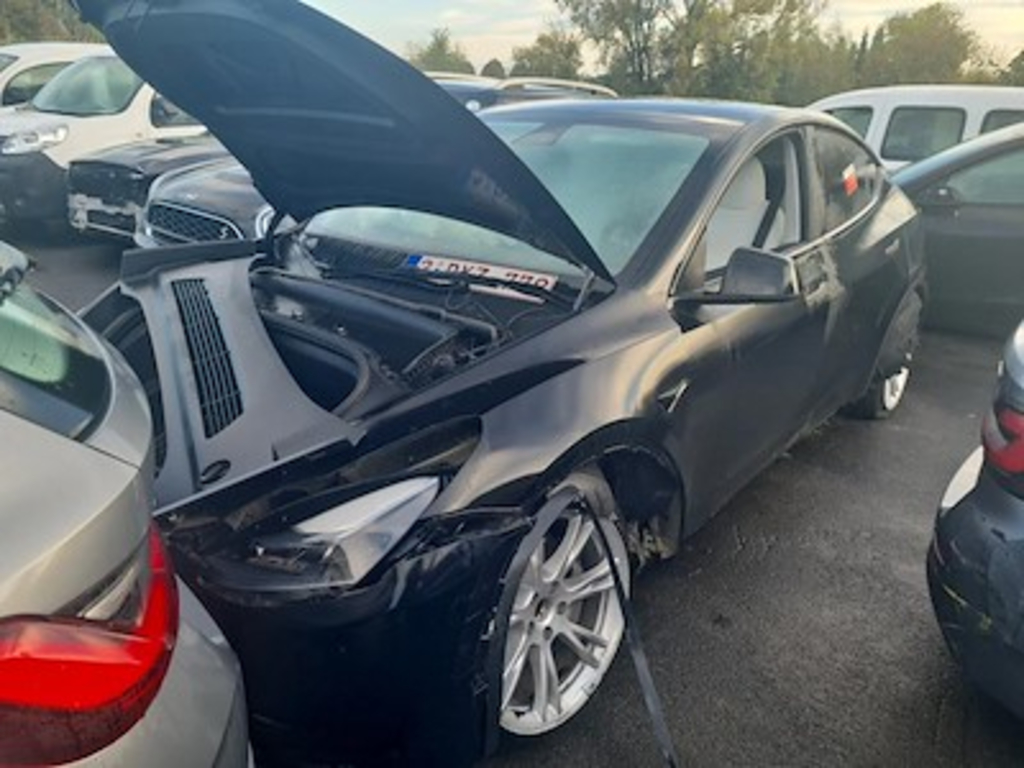 Tesla Model Y BEV AUTO RWD